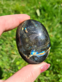 Labradoriet palmsteen 12