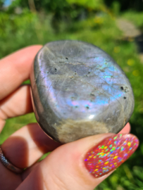 Labradoriet palmsteen 55