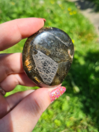 Labradoriet palmsteen 35