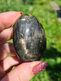 Labradoriet palmsteen 51