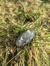 Lodoliet met rutiel shiva