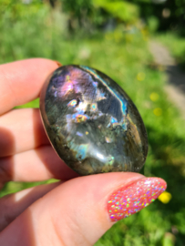 Labradoriet palmsteen 70