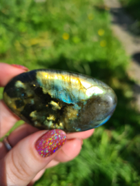 Labradoriet palmsteen 67