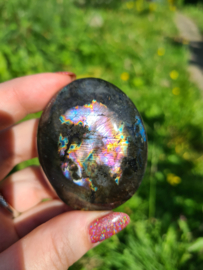 Labradoriet palmsteen 65