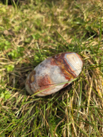 Crazy lace agaat shiva