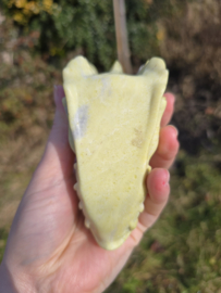 Gele serpentijn draak