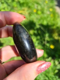 Labradoriet palmsteen 63