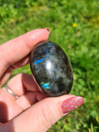Labradoriet palmsteen 22