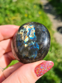 Labradoriet palmsteen 41