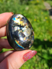 Labradoriet palmsteen 51