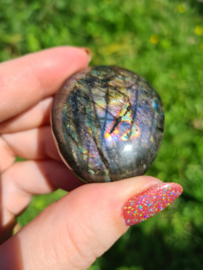 Labradoriet palmsteen 46