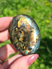 Labradoriet palmsteen 25