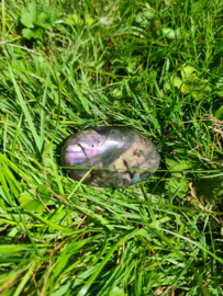 Labradoriet palmsteen 39