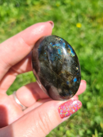 Labradoriet palmsteen 22