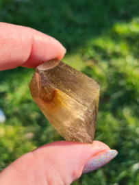 Rutile in smokey quartz freeform 4