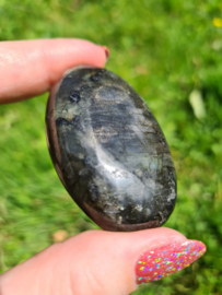 Labradoriet palmsteen 7