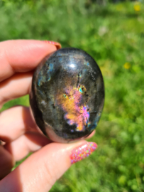 Labradoriet palmsteen 48