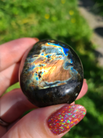 Labradoriet palmsteen 62