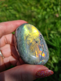 Labradoriet palmsteen 42