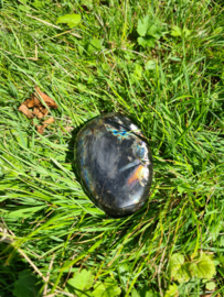 Labradoriet palmsteen 37