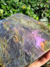 Labradoriet vrije vorm (paars/blauw)