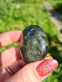 Labradoriet palmsteen 66