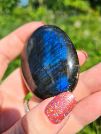 Labradoriet palmsteen 31