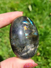 Labradoriet palmsteen 12