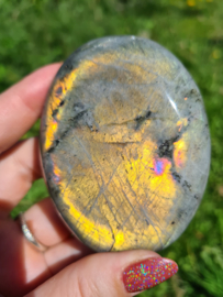 Labradoriet palmsteen 49