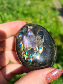 Labradoriet palmsteen 65