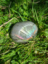 Labradoriet palmsteen 27