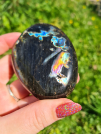 Labradoriet palmsteen 37