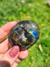 Labradoriet palmsteen 20