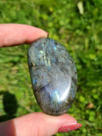 Labradoriet palmsteen 14
