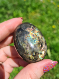 Labradoriet palmsteen 19