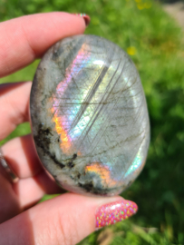 Labradoriet palmsteen 27