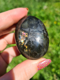 Labradoriet palmsteen 48