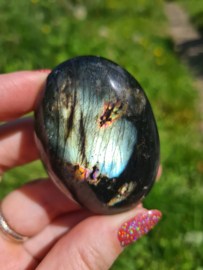 Labradoriet palmsteen 23