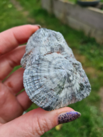 Seraphinite 9