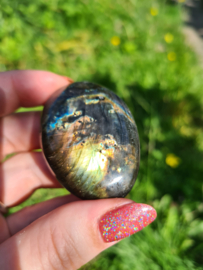 Labradoriet palmsteen 63