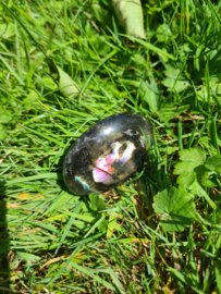 Labradoriet palmsteen 20