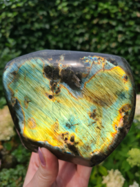 Labradorite free form (lightgreen/yellow)