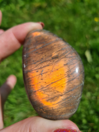 Labradoriet palmsteen 6