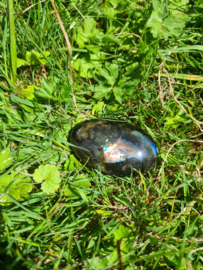 Labradoriet palmsteen 16