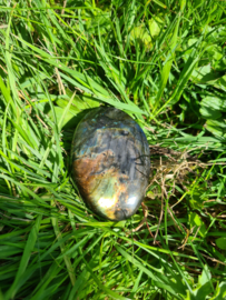 Labradoriet palmsteen 63