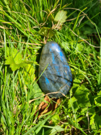 Labradoriet palmsteen 34