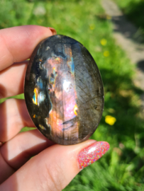 Labradoriet palmsteen 69