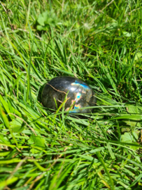 Labradoriet palmsteen 38