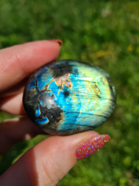 Labradoriet palmsteen 44