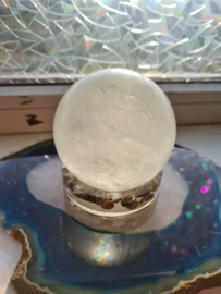 Bollenhouder schelpjes 2 groot